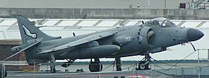 Archivo:BAe Sea Harrier FA2