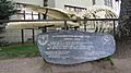 Ballena UdeC
