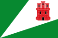 Bandera de Trigueros del Valle.svg