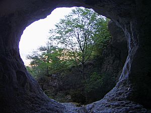 Archivo:Basaula cueva en la Sierra de Loquiz en Navarra 01