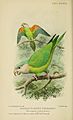 Bird notes (1904) (14749777934)