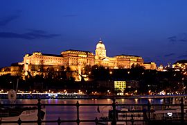 Budapest castle night 5