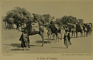 Archivo:Camel Train
