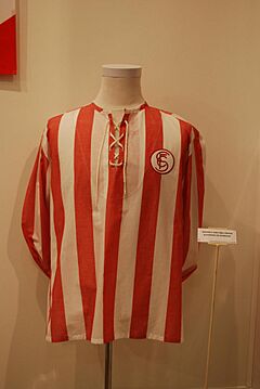 Archivo:CamisetaRayasSFC