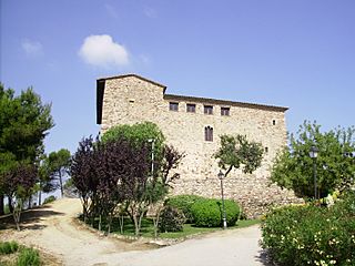 Cara llevant del castell de Plegamans.JPG