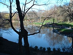 Archivo:Central park newyork
