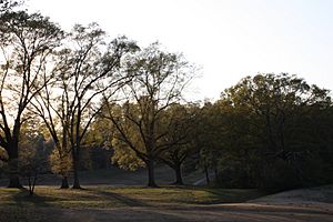 Archivo:Chastain Park, Atlanta