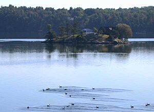 Archivo:Cove on Wellesley Island in northwestern New York