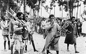 Archivo:Ethiopian men gather in Addis Ababa, heavily armed with captured Italian weapons, to hear the proclamation announcing the return to the capital of the Emperor Haile Selassie in May 1941. K325