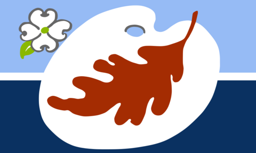 Flag of Nashville, Indiana