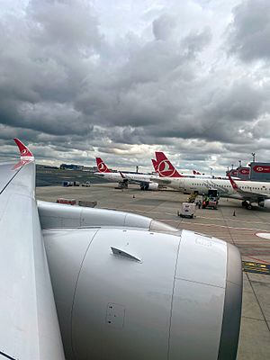 Archivo:Flota Turkish Airlines