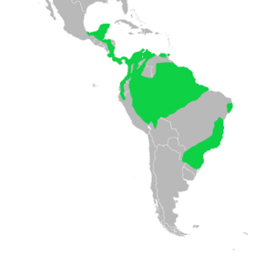 Distribución geográfica de los formicáridos.