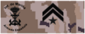 Infmar10