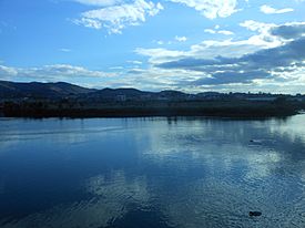 Isla Santiago Aurrea 3 (Bidasoa).jpg