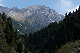 Kyrgyzstan-mountains in summer panorama