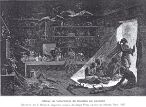 Archivo:Laboratory-anchieta
