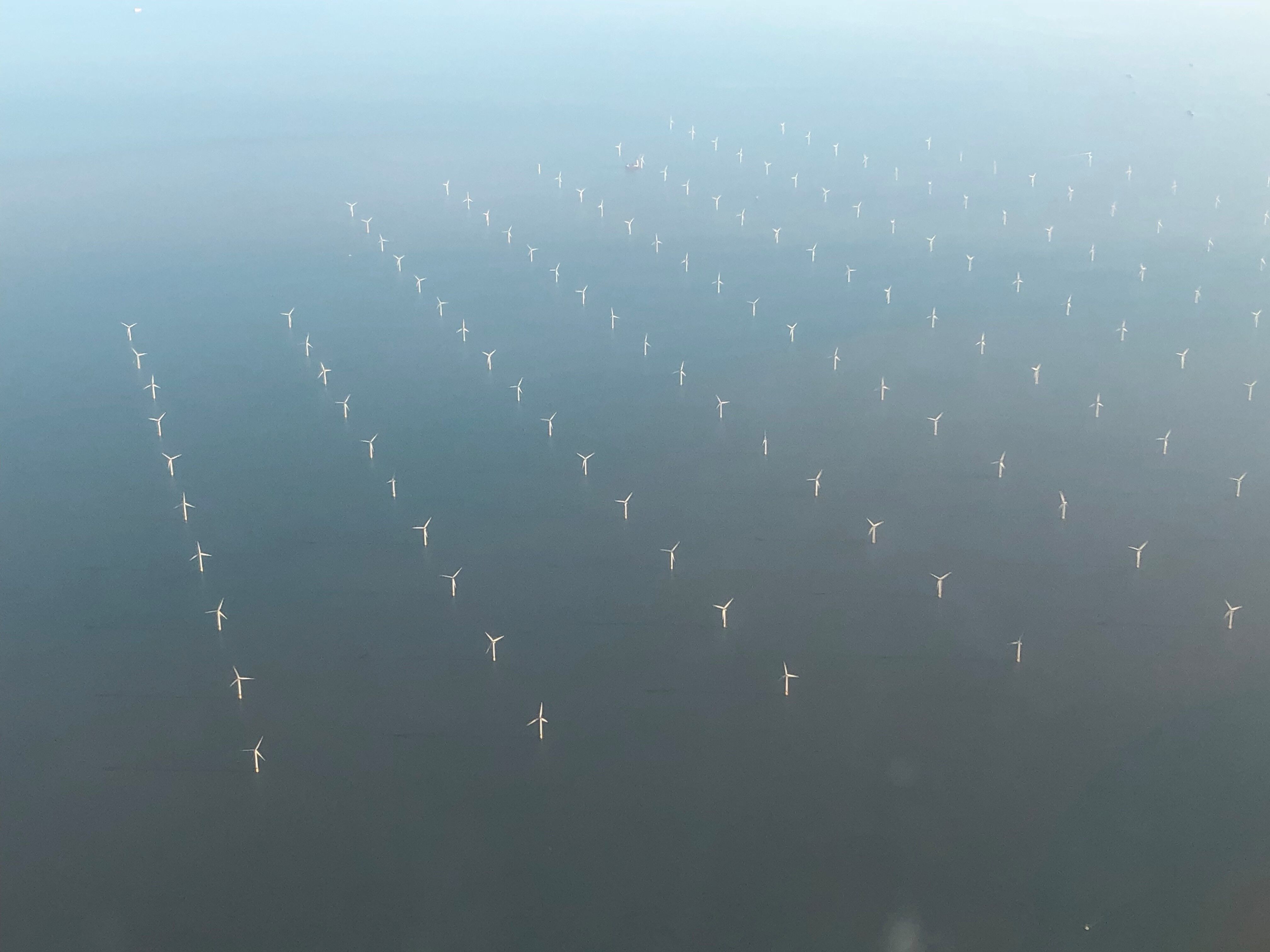 London Array from Air 2019.jpg