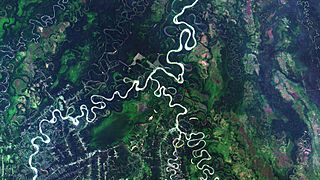 Mamorecillo River, Bolívia.jpg