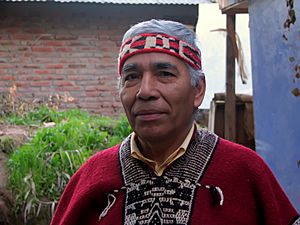Archivo:Mapuche
