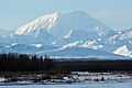 Mt. Foraker. Shot from Talkeetna, Alaska (25711013851)