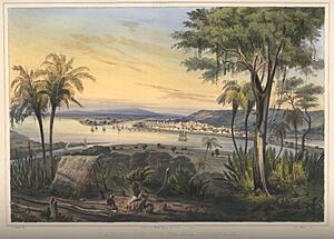Archivo:Nebel Voyage 12 Tampico de Tamaulipas