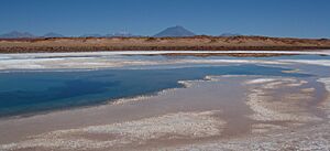 Archivo:Ojo de mar en Tolar Grande