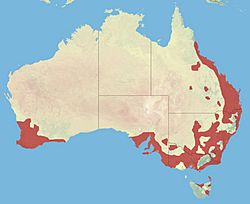 Distribución en Australia.
