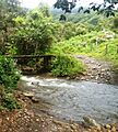 Puente labranzagrande