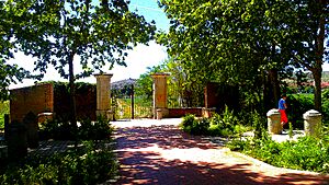 Archivo:Puerta del Rey, Paseo de Los Chopos, Huerta Grande del Real Sitio de San Fernando
