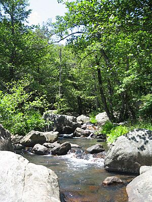 Archivo:Río de la miel algeciras 01