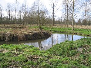 Archivo:River Blackwater by-Angela-Tuff