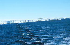 Archivo:Ross Ice Shelf 1997
