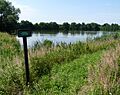 Rychvald, Malý Cihelňák (ptačí oblast)