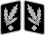 SS-Gruppenführer Collar Rank.svg