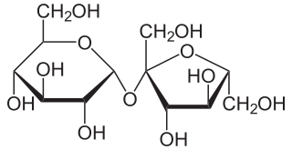 Saccharose2.svg