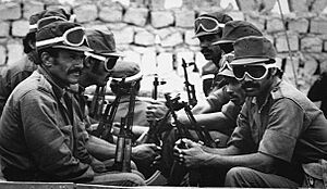 Archivo:Saharawi soldiers