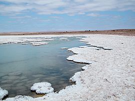Salar de Llamara - panoramio.jpg