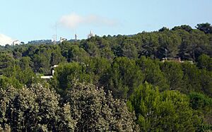 Archivo:Sancugat-Collserola