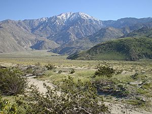 Archivo:Santa Rosa and San Jacinto Mountains 283