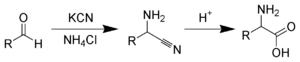 Archivo:Strecker Amino Acid Synthesis Scheme