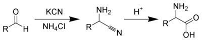 La síntesis de Strecker de aminoácidos