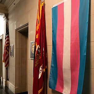 Archivo:Transgender Flag at Ruben Gallego's office 2019
