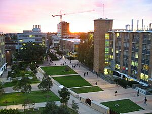 Archivo:UNSW lower campus