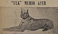 Ulk murió ayer-LN 1942 09 07 018