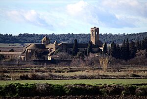 Archivo:Vista de conjunto del Monasterio de la Oliva 01