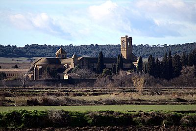 Archivo:Vista de conjunto del Monasterio de la Oliva 01