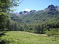 Volcan lanin al verde