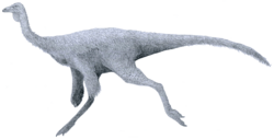 Archivo:"Ornithomimus" sp. by Tom Parker
