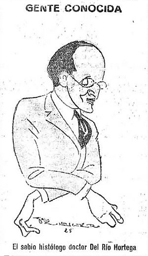 Archivo:1925-04-30, El Imparcial, Gente conocida, El sabio histólogo doctor Del Río Hortega, Pellicer