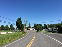 2016-06-18 09 50 01 View north along West Virginia State Route 42 (Cottage Street) entering Elk Garden, Mineral County, West Virginia.jpg